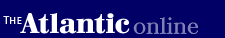 logotop-article.gif