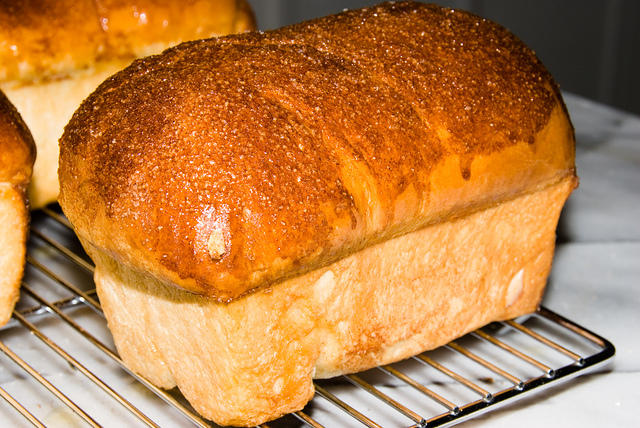 Cinnamon Raisin Bread, "junior" loaves, own recipe

20070512-14.43.09