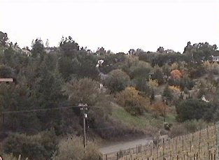 VineyardView.jpg